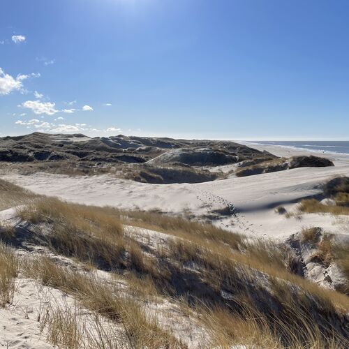 “Klitlandskab 2”